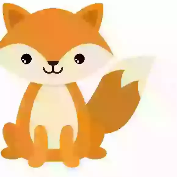 Year 4 Fox Class